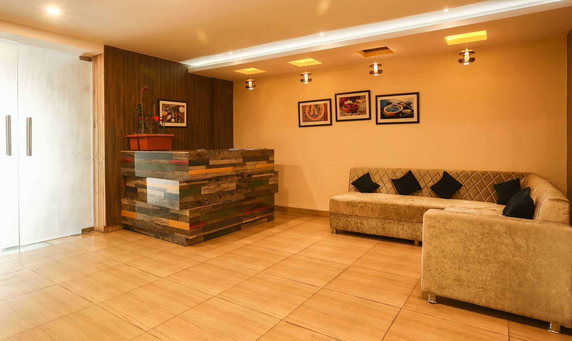 Treebo Trend Gk Conifer Ξενοδοχείο Νταραμσάλα Εξωτερικό φωτογραφία